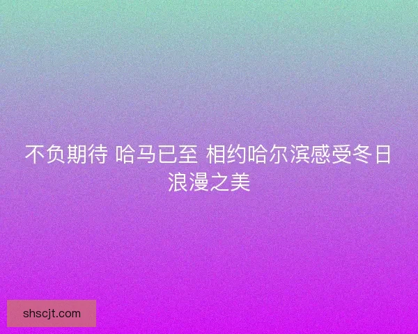不负期待 哈马已至 相约哈尔滨感受冬日浪漫之美 不负期待 哈马已至 相约哈尔滨感受冬日浪漫之美