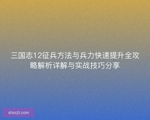 三国志12征兵方法与兵力快速提升全攻略解析详解与实战技巧分享