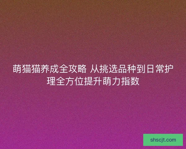 萌猫猫养成全攻略 从挑选品种到日常护理全方位提升萌力指数 萌猫猫养成全攻略 从挑选品种到日常护理全方位提升萌力指数