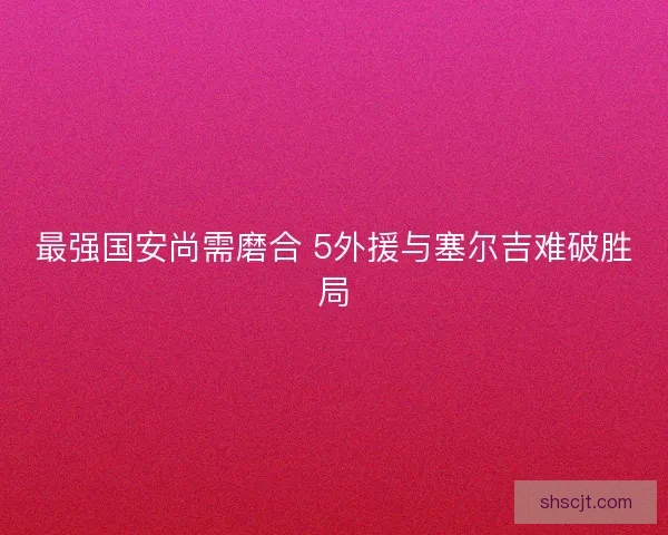 最强国安尚需磨合 5外援与塞尔吉难破胜局